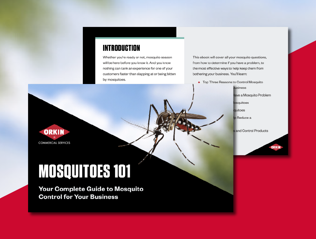 Mosquitoes 101 Guide Mosquitoes 101: Your Complete Guide to Mosquito Control for Your Business